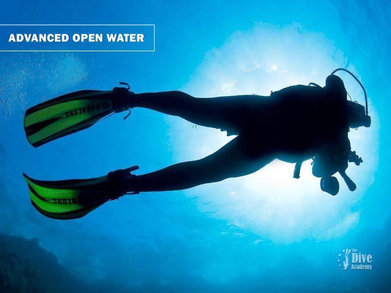 AOW PADI Course in Koh samui