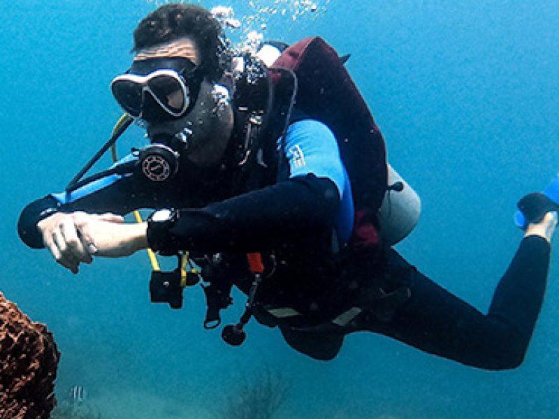 Bg Mega Padi Courses