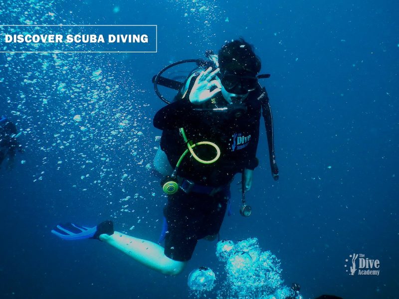 Discover Scuba Diving In Samui