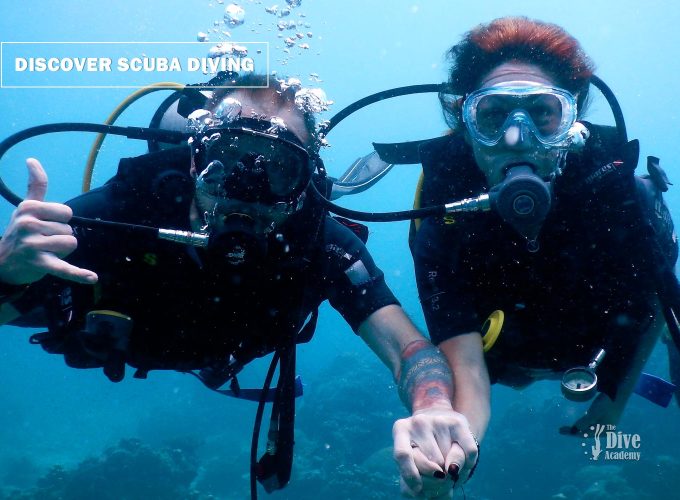 Scuba Diving, PADI Dive Courses, Discover Scuba Diving on Koh Samui