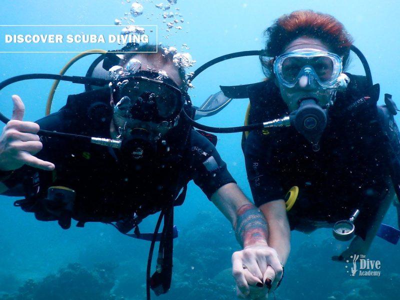 Discover Scuba Diving Koh Samui