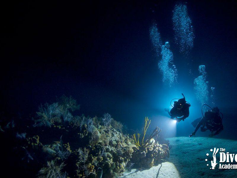Night Dive Tour Sail Rock