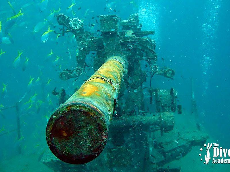 HTMS Sattakut Dive Tour Koh Tao