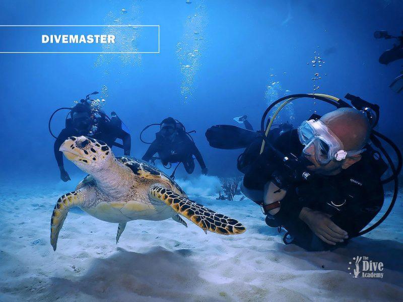 PADI DIvemaster Samui
