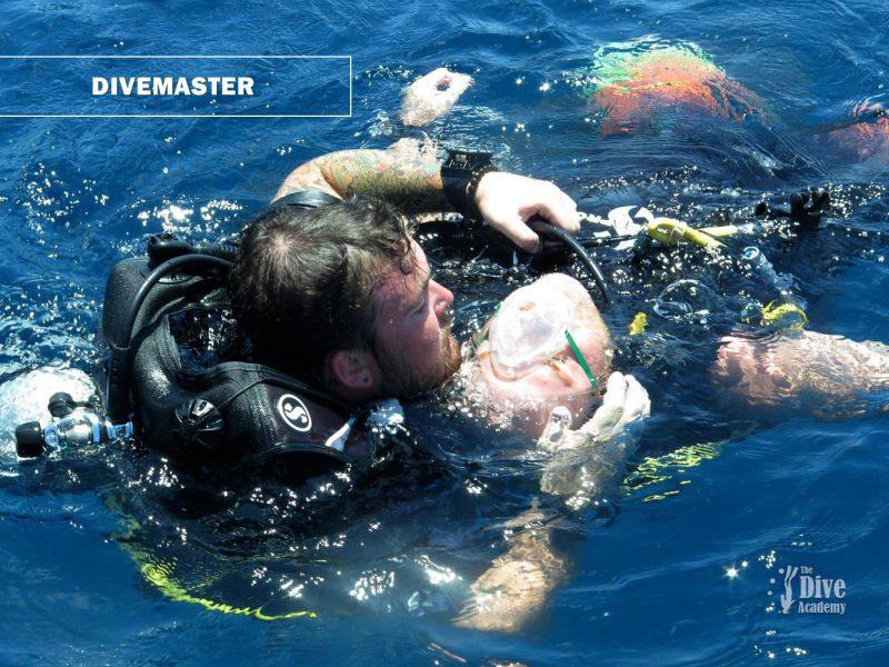 PADI Divemaster Koh Samui
