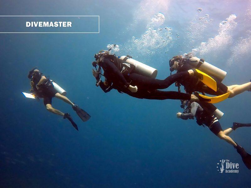 PADI Divemaster Koh Samui