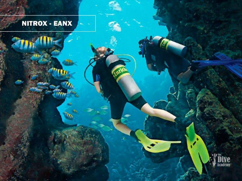 EANX - NITROX Course The Dive Academy
