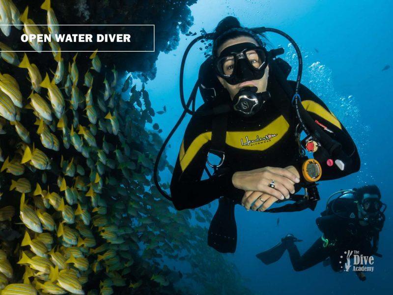 Open Water Diver eLearning Course