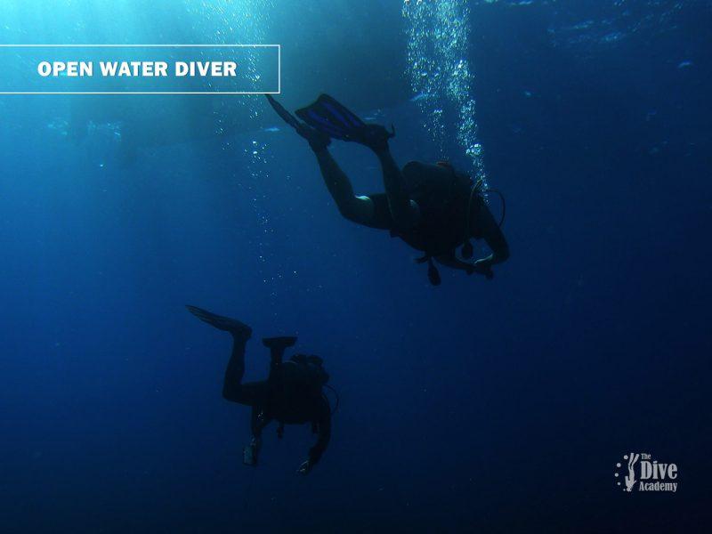 Open Water Diver eLearning Course