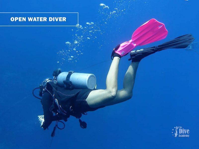 Open Water Diver eLearning Course