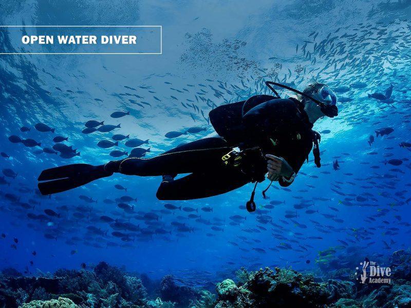 Open Water Diver eLearning Course
