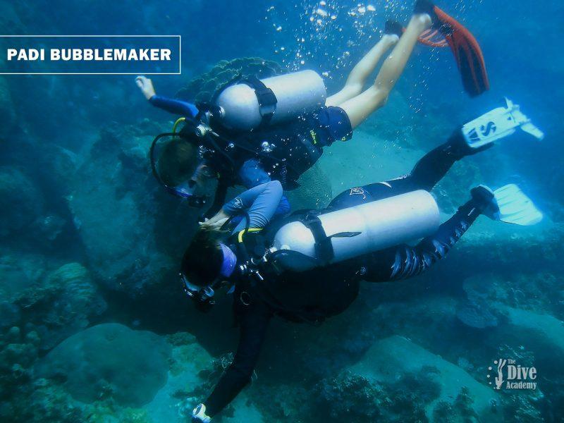 PADI Bubblemaker Course Koh Samui