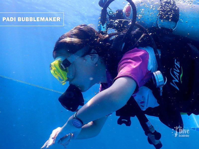 PADI Bubblemaker Course Koh Samui