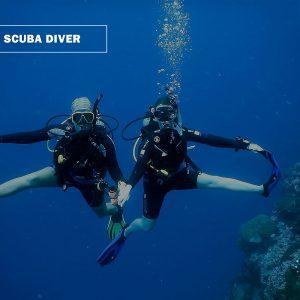 PADI Scuba Diver Course the Dive Academy