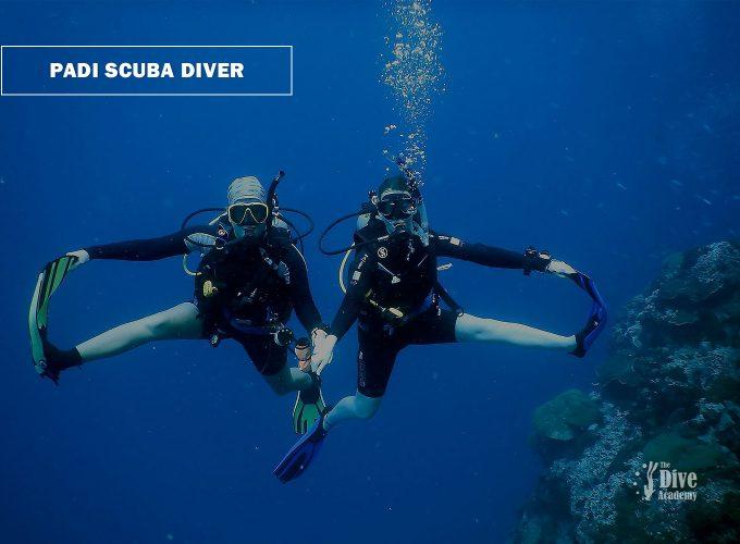 PADI Scuba Diver Course the Dive Academy