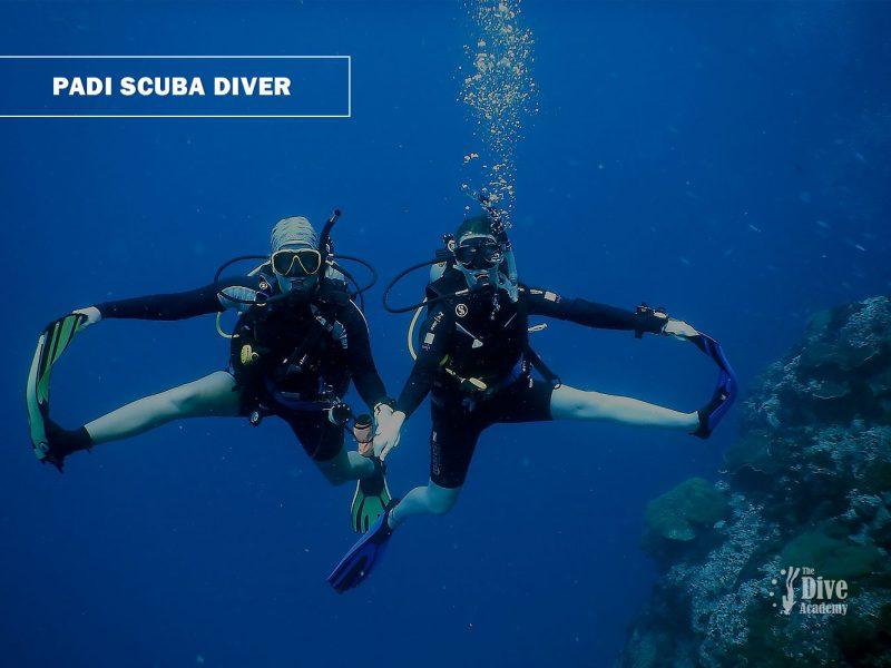 PADI Scuba Diver Course the Dive Academy
