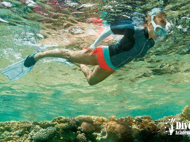 Snorkeling Tour Ang Thong National Marine Park