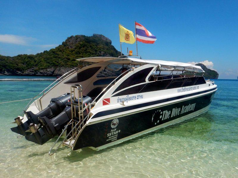 The Midnight Blue Speed Boat